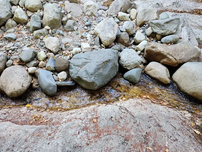 Rattle River Shelter Picture 6