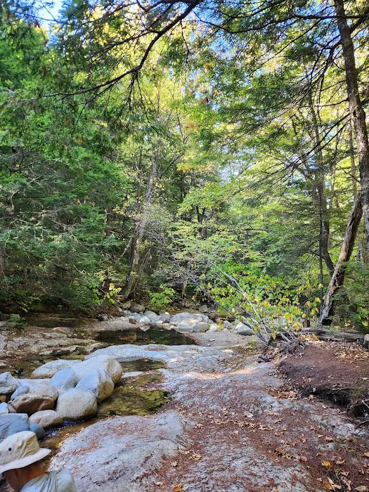Rattle River Shelter Picture 7