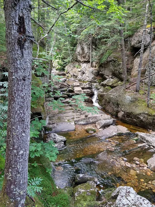 Wild River Campground Picture 1