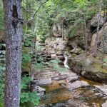 Wild River Campground