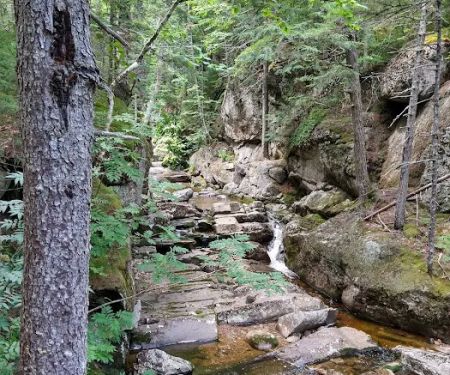 Wild River Campground