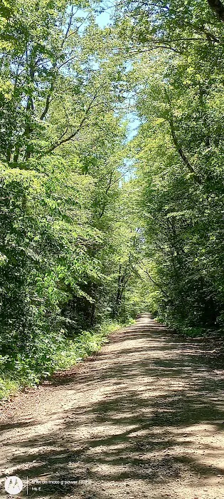 Wild River Campground Picture 3