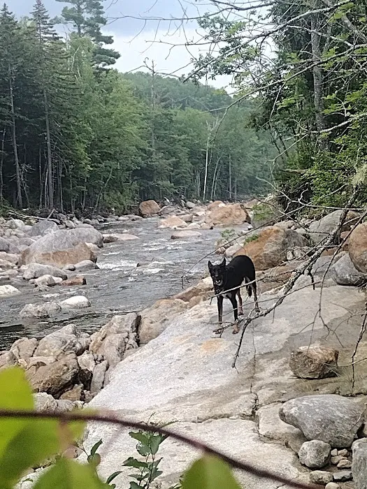 Wild River Campground Picture 10