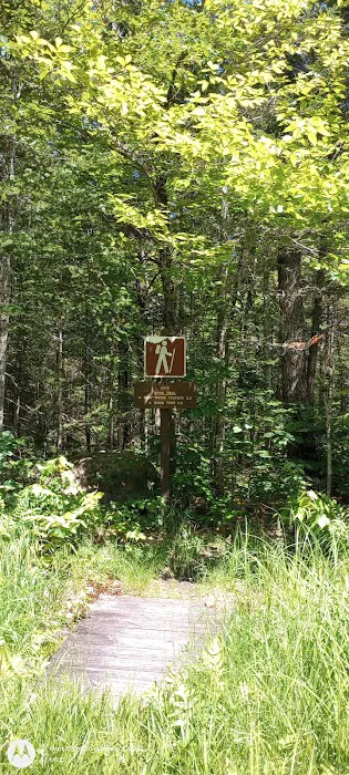 Wild River Campground Picture 2
