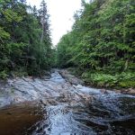 Spruce Brook Tent Site