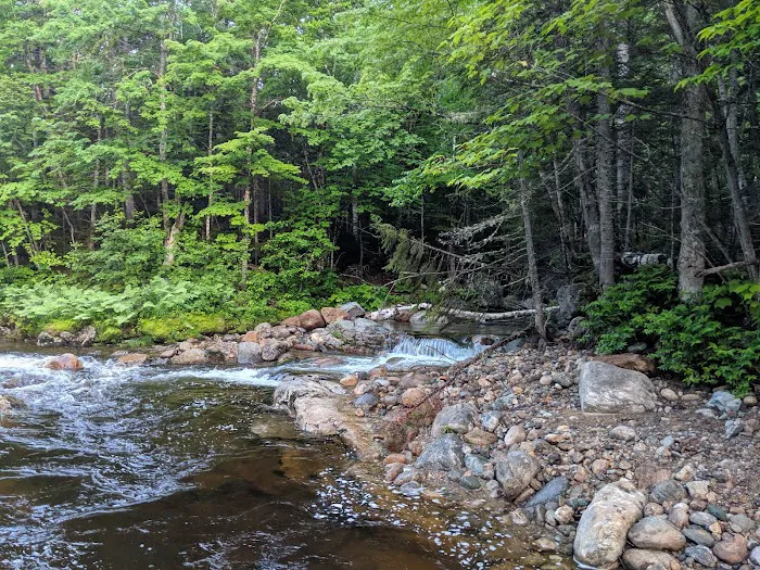 Spruce Brook Tent Site Picture 5