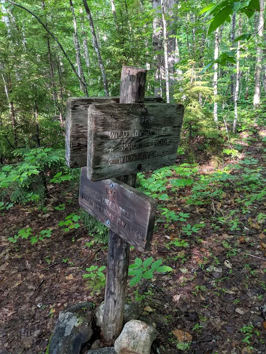 Spruce Brook Tent Site Picture 2