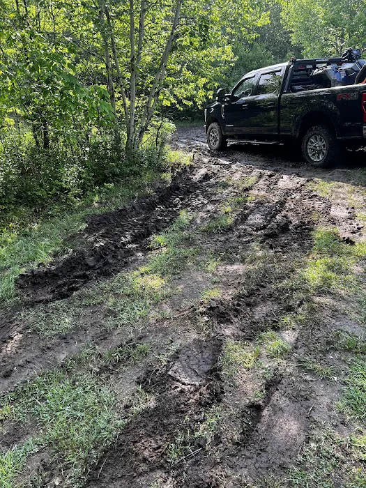 Cedar Pond Campground Picture 2