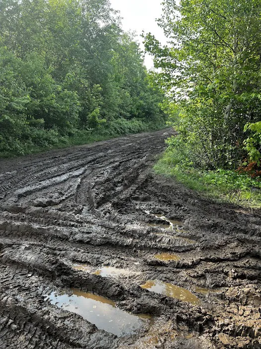 Cedar Pond Campground Picture 3