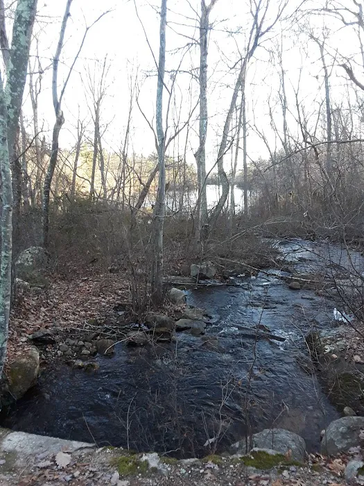 Campsite Donald Dewing Picture 8