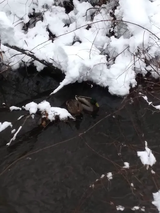 Waters Edge Estates Picture 1