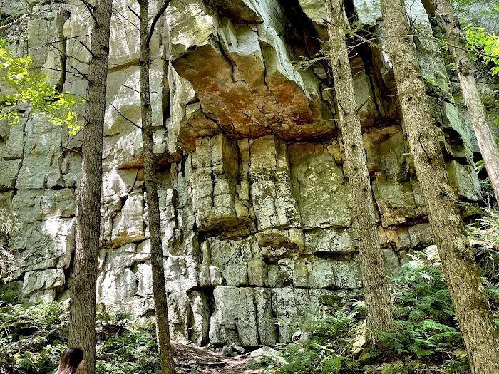 High Falls Park Campground Picture 5