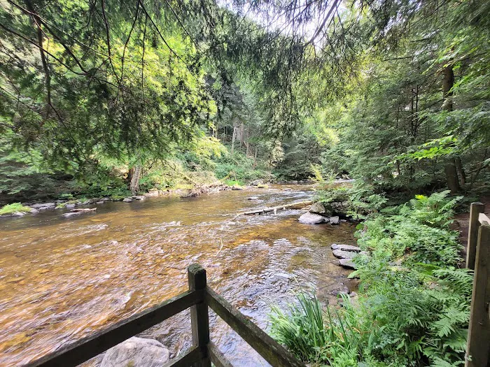 High Falls Park Campground Picture 6