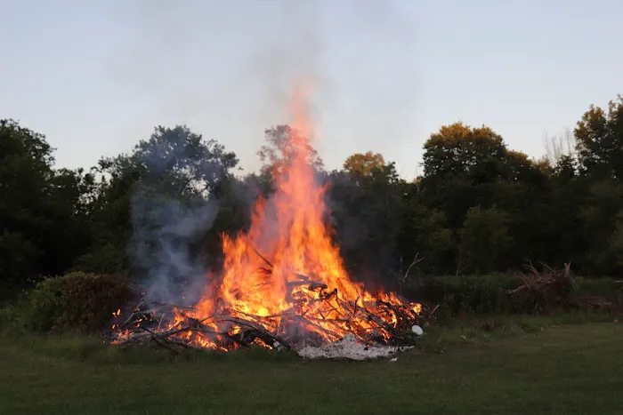 Pine Ridge Park Campsite Picture 8