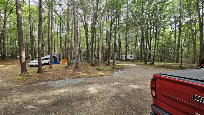 Pinederosa Camping Area Picture 8