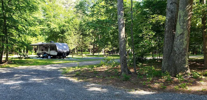 Pinederosa Camping Area Picture 10