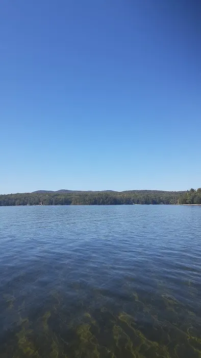 Sebago Lake State Park Campground Picture 5