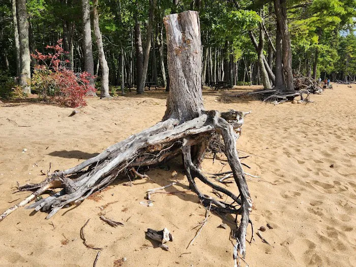 Sebago Lake State Park Campground Picture 4