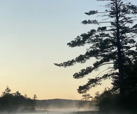 Four Seasons Family Camping Area