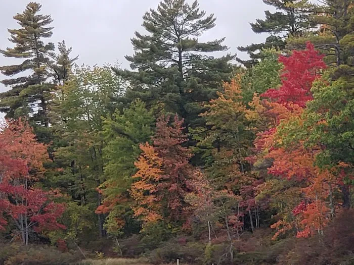 Colonial Mast Campground Picture 3