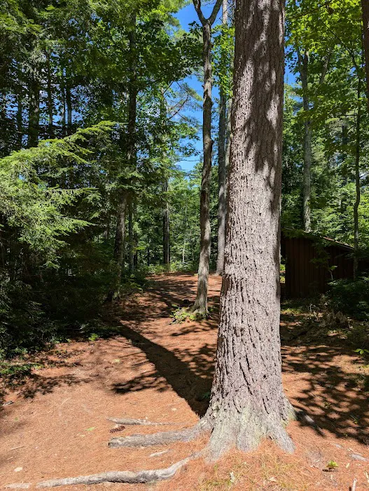 Tenny Campsite Camp William Hinds Picture 10