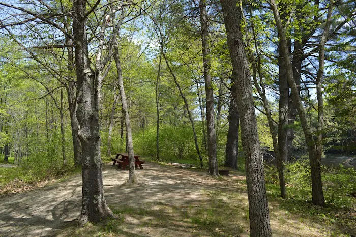 On the Saco Family Campground Picture 8