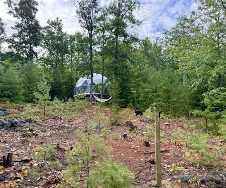 Maine Mountain Domes
