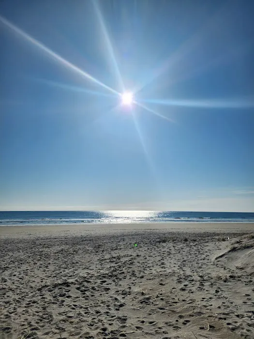 Hampton Beach State Park Campground Picture 6