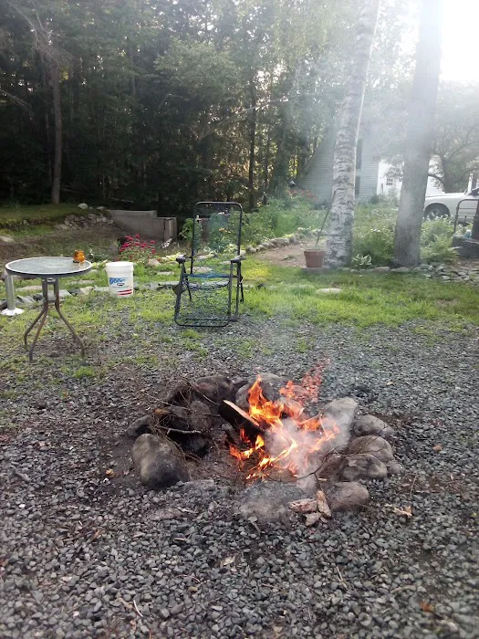 The Quantum Vortex Picture 4