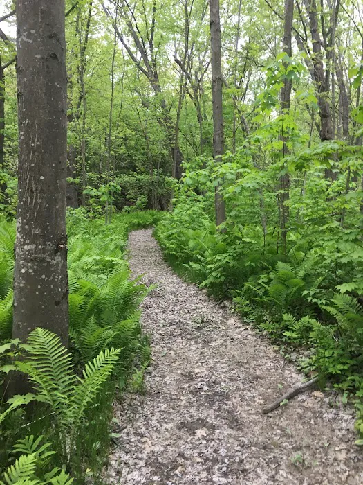 Timberland Campground Picture 8