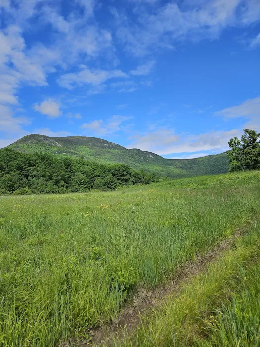 Basin Campground Picture 3