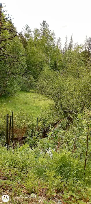 Hastings Campground Picture 9