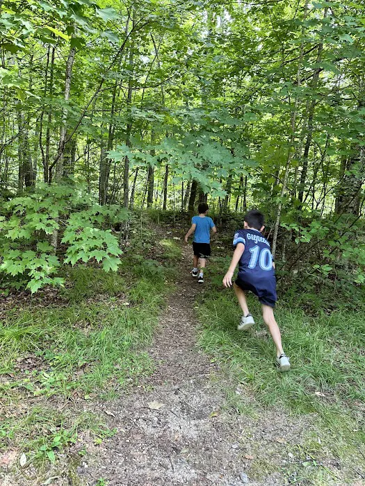 Hastings Campground Picture 6