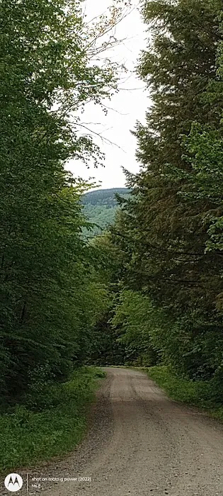Hastings Campground Picture 1