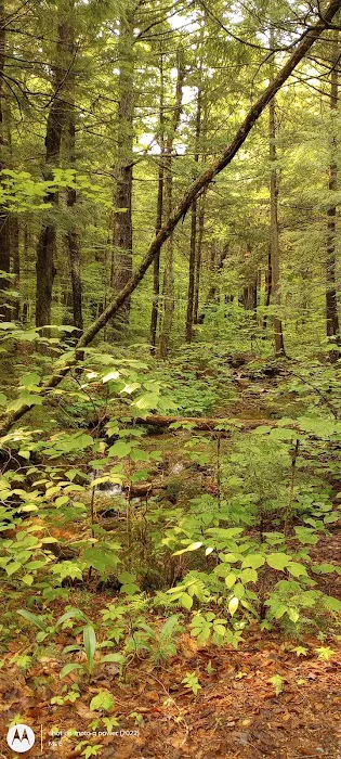 Hastings Campground Picture 3