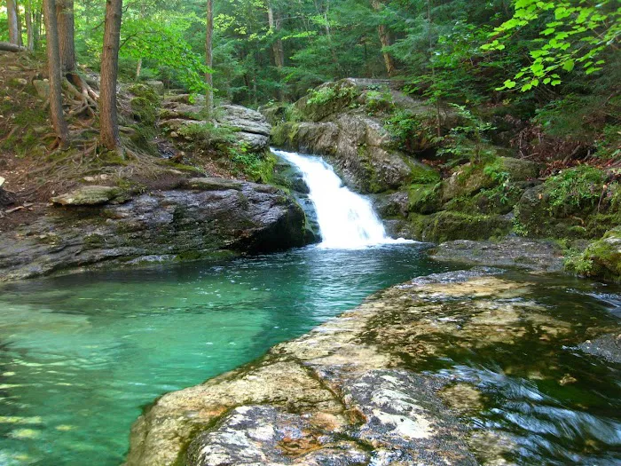 Cold River Camp Picture 1