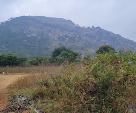Toad Hill