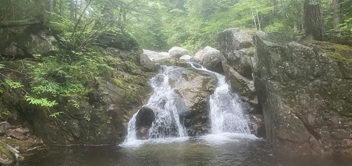 Toad Hill Picture 7