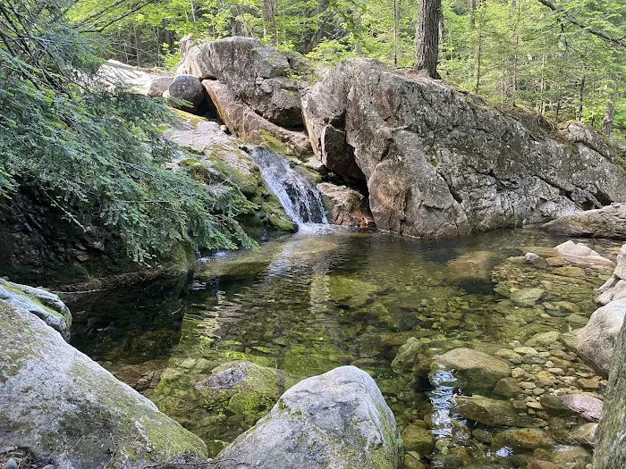 Toad Hill Picture 10