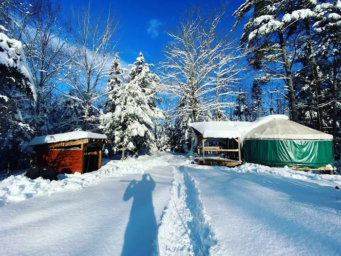 Locally Crafted Yurt Picture 4