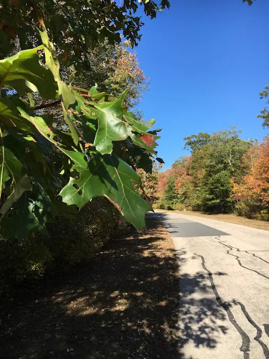 Worden Pond Family Campground Picture 4