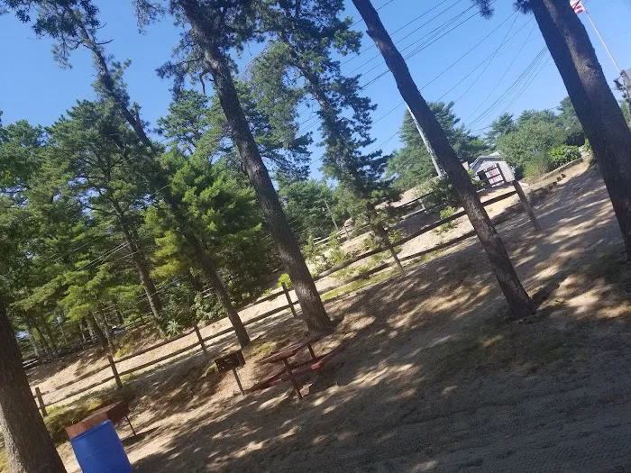 Ellis-Haven Campground Picture 5