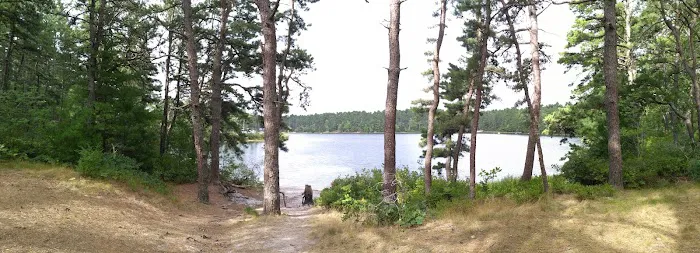 Curlew Pond campground Picture 4