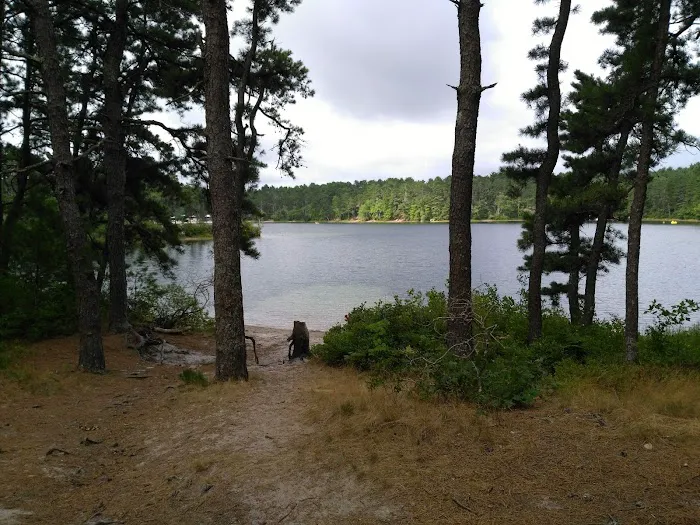 Curlew Pond campground Picture 7