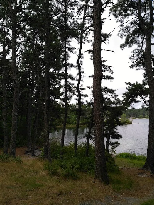 Curlew Pond campground Picture 3