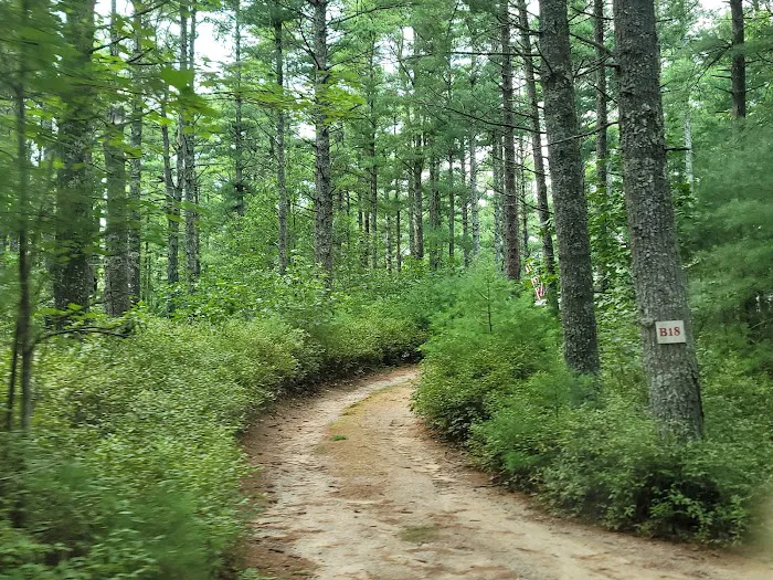 Blueberry Hill Campground Picture 4