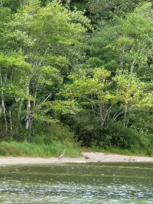 Blueberry Hill Campground Picture 10