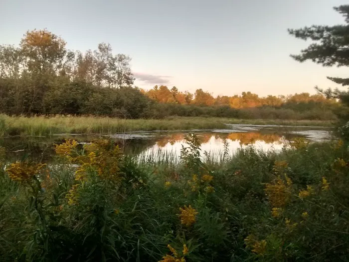 Jelly Beans Riverside Campground Picture 6