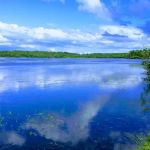 Blue Haven Campground and Resort