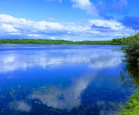 Blue Haven Campground and Resort